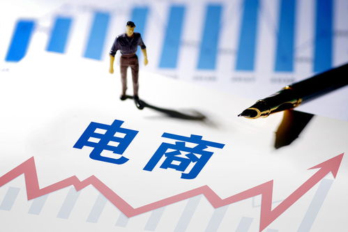 拼多多電子商務(wù)推廣運營策略與經(jīng)營技巧